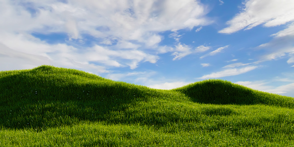 Green grassland with clear blue sky background. Outdoor nature concept. 3D illustration rendering