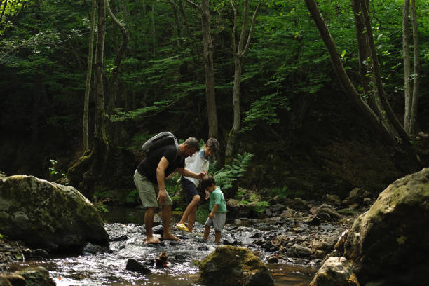 istock Father with son exploring river in a tropical forest. 1441888975