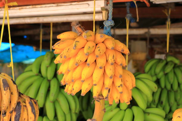 istock Fruit stalls in Salalah, Oman 1441889529