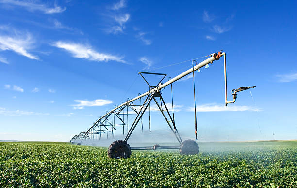 istock Industrial sized pivot in the field 144188997
