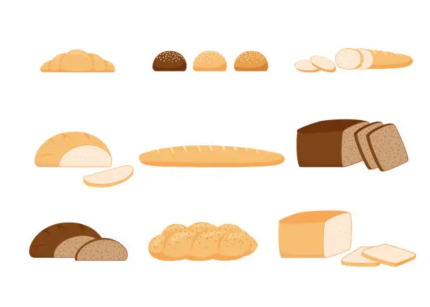 Vector illustration of Pastry bread from wheat, whole grain and rye, bakery food, bun. Loaf, bread brick, croissant, toast bread, french baguette, challah. Vector illustration