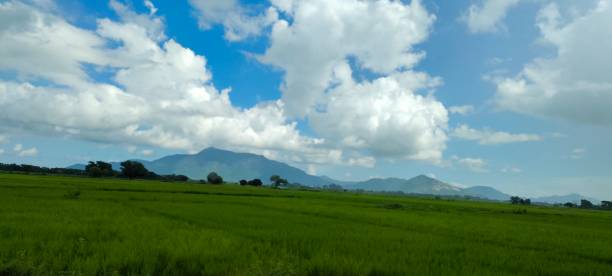 istock Beautiful landscape scenery at hill area 1441892845