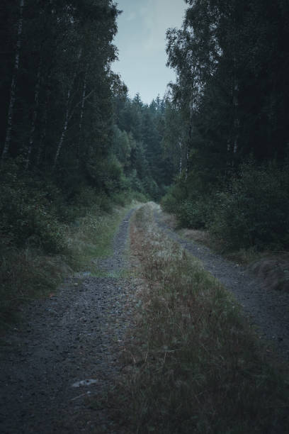 istock Gravel road 1441892904