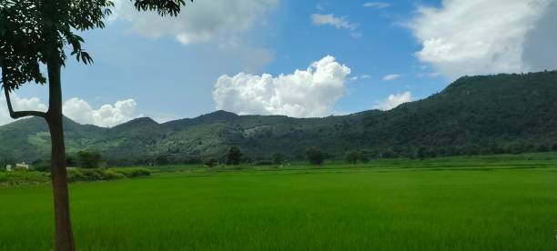 istock White Clouds over the hills at hill area, India 1441892952
