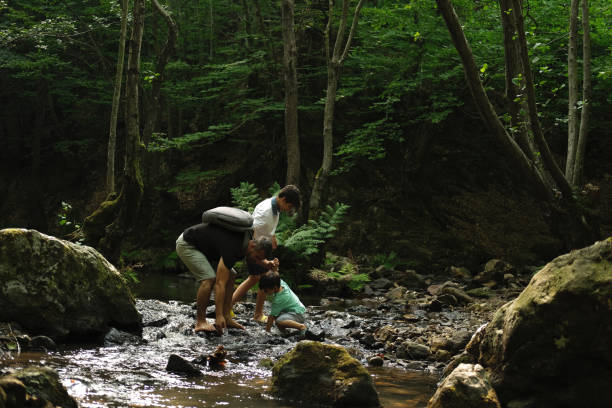 istock Father with son exploring river in a tropical forest. 1441894570
