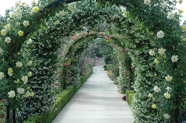 Arco de flores - foto de stock