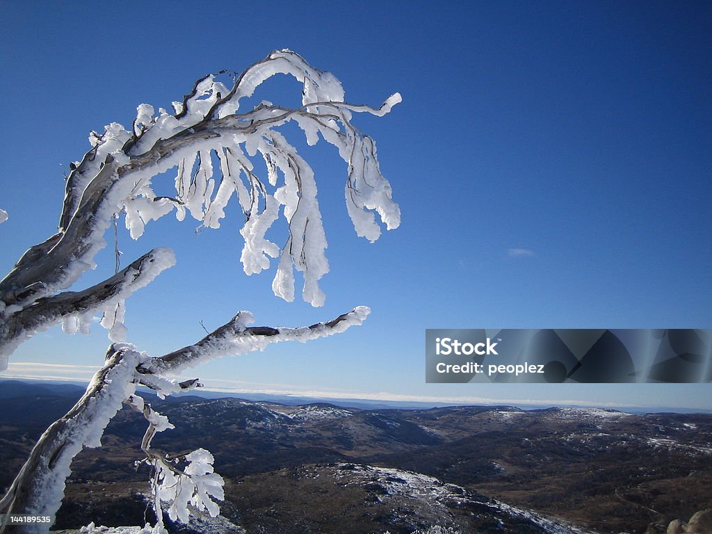 Descongelar - Royalty-free Austrália Foto de stock