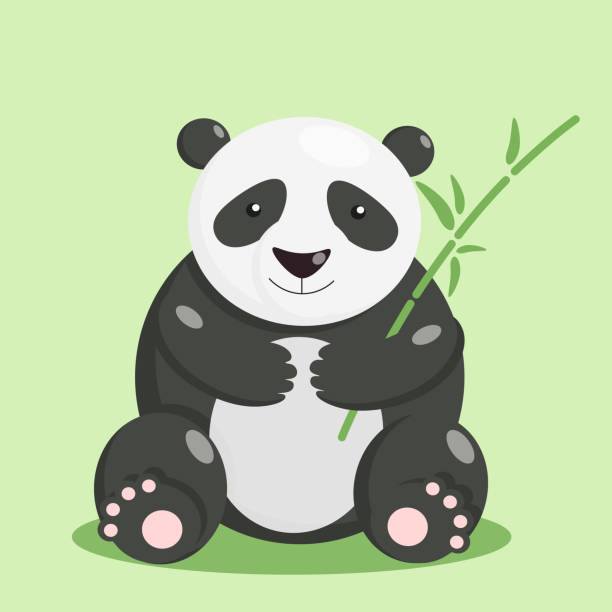 illustrazioni stock, clip art, cartoni animati e icone di tendenza di personaggio dei cartoni animati panda seduto e tenendo il bambù nelle zampe su sfondo verde con ombra, vettore isolato. - panda mammifero con zampe
