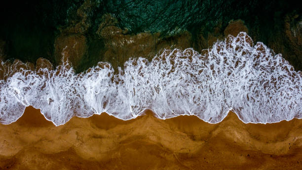 istock Sun Sand Sea and Srilanka 1441895653