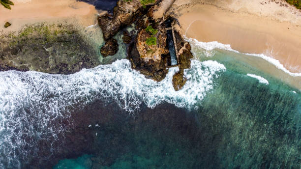 istock Sun Sand Sea and Srilanka 1441895719