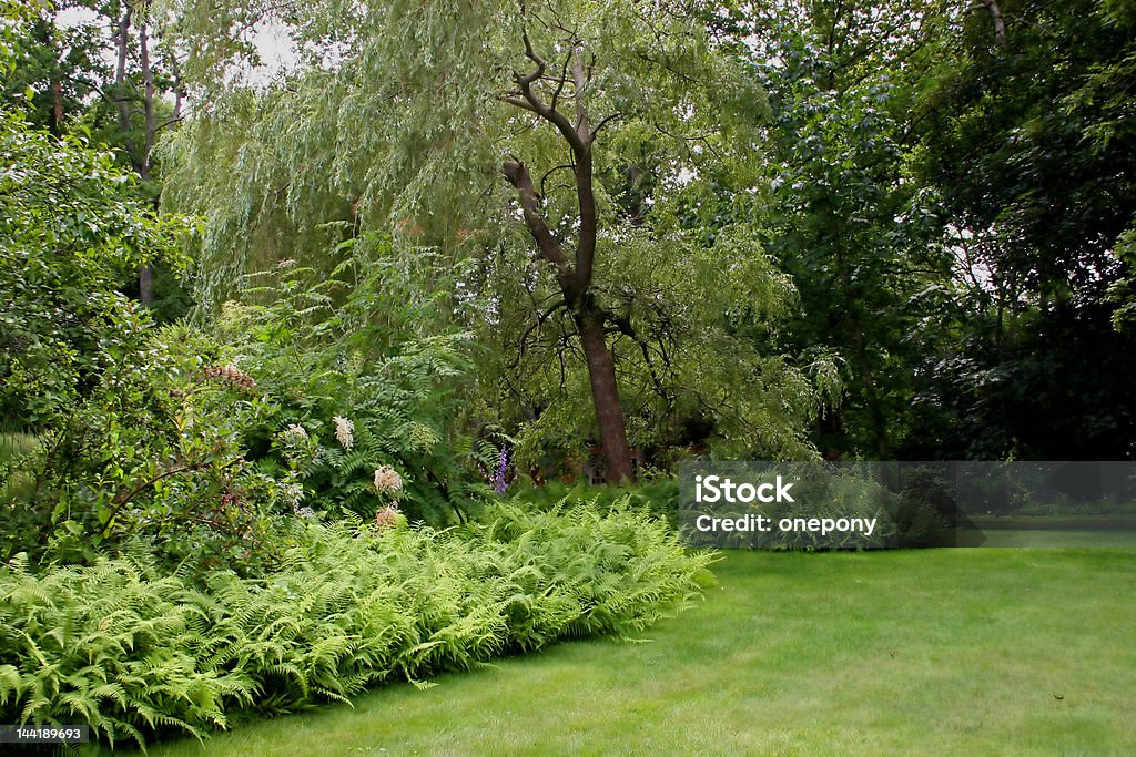 Willow Park - Foto stock royalty-free di Aiuola