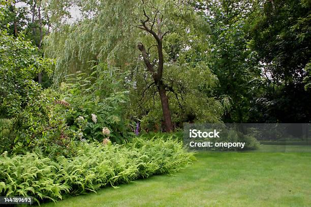 Willow Park - Fotografie stock e altre immagini di Aiuola - Aiuola, Albero, Ambientazione esterna