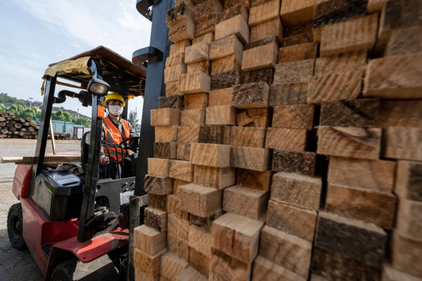 un'operaia guida un carrello elevatore al molo di legno - lumber industry timber truck forklift foto e immagini stock