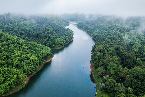 Aerial view of Abundance tropical rainforest with foggy and river flowing through in the morning at national park