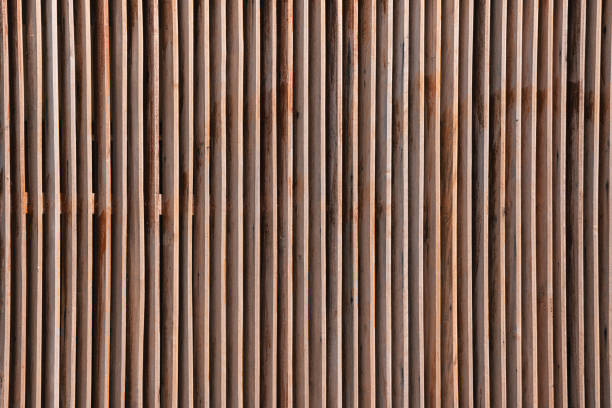 istock Weathered grunge wooden timber plank on wall background 1441899130