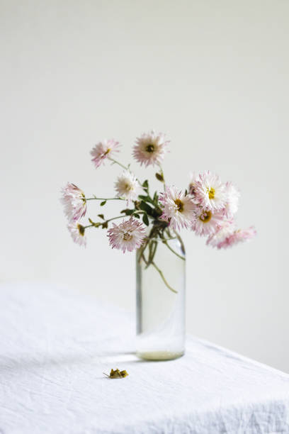 istock Bouquet of chrysanthemum on white linen tablecloth. 1441899581