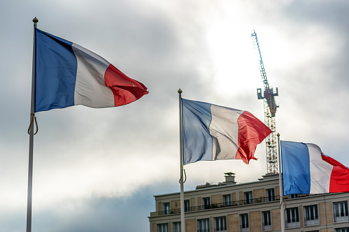 Collection of national French Flags with flagpole, isolated on white background.
