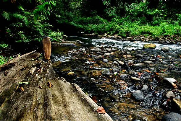 Photo of eco river