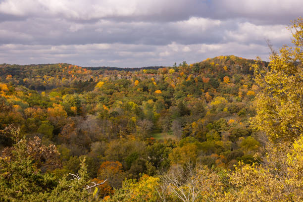 istock Hilly Forest Landscape In Autumn 1441903237