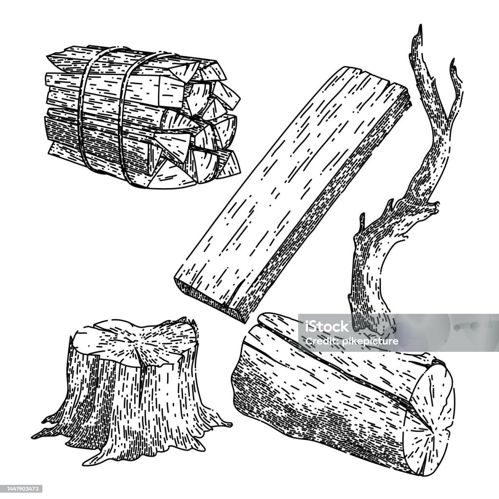 Logging Tree Drawing Wood Log Set Sketch Hand Drawn Vector Stock Illustration - Download ...