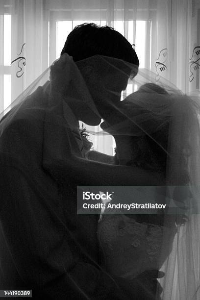 The Newlywedses Kissed На Фоне Окна — стоковые фотографии и другие картинки Белый - Белый, Борьба, Вертикальный