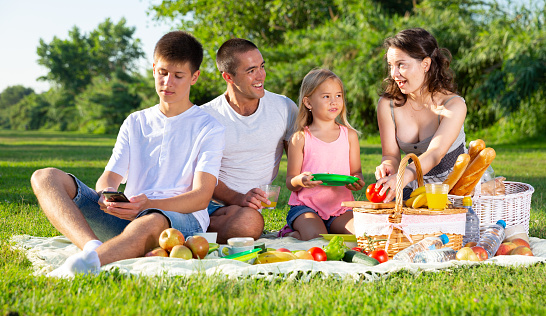 Interested teen boy playing on smartphone during picnic with his family on green meadow