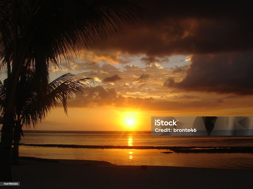 Hermoso paradise atardecer en la playa de palmeras - Foto de stock de Aire libre libre de derechos