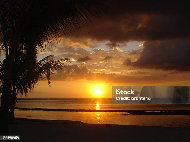 Hermoso Paradise Atardecer En La Playa De Palmeras Foto de stock y más banco de imágenes de Aire libre - Aire libre, Amarillo - Color, Arena