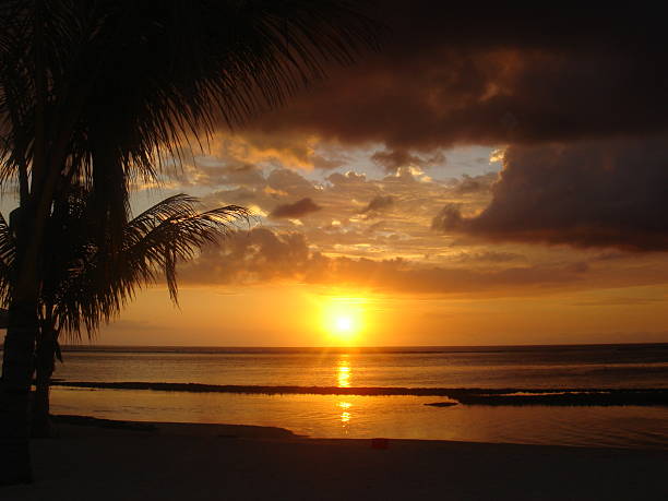 istock Beautiful paradise beach sunset through palm trees 144190454