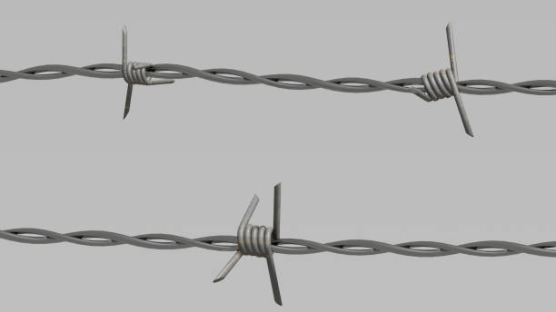 istock Barbed wire on a gray background. 3d render with barbed wire. Border protection. Barbed wire fence. Background images with metal wire. The concept of imprisonment or protection of territories. 1441904821