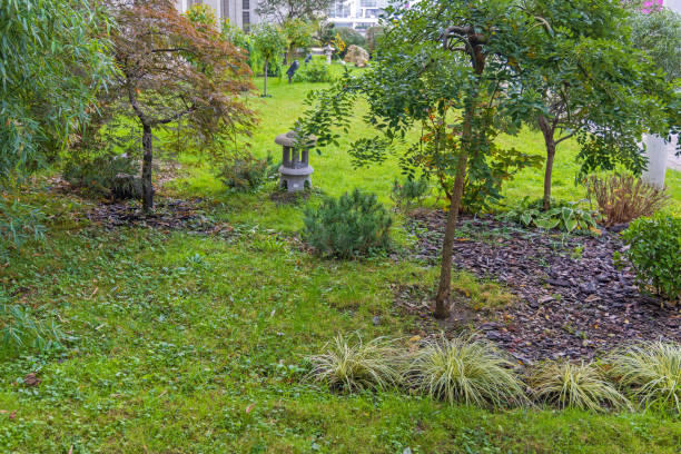 istock Japan Green Garden 1441904890