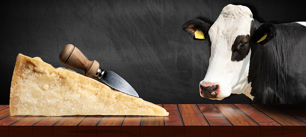 Close-up of a slice of Italian Parmesan cheese and old knife on a wooden table. On background a dairy cow, looking at camera, and a blank chalkboard with copy space.