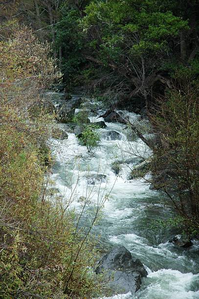 Rushing California Waterfall stock photo