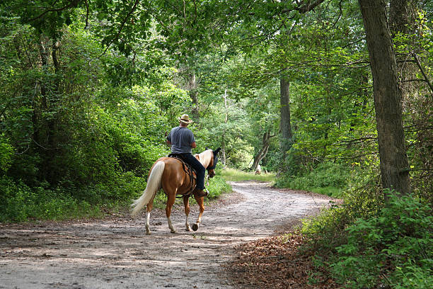 jazda konna przez las - horseback riding cowboy riding recreational pursuit zdjęcia i obrazy z banku zdjęć