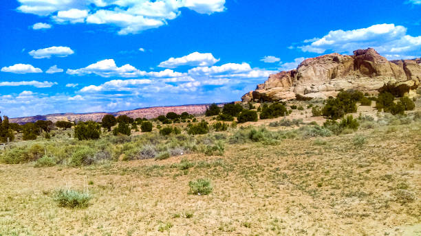istock Wilderness in New Mexico 1441907117