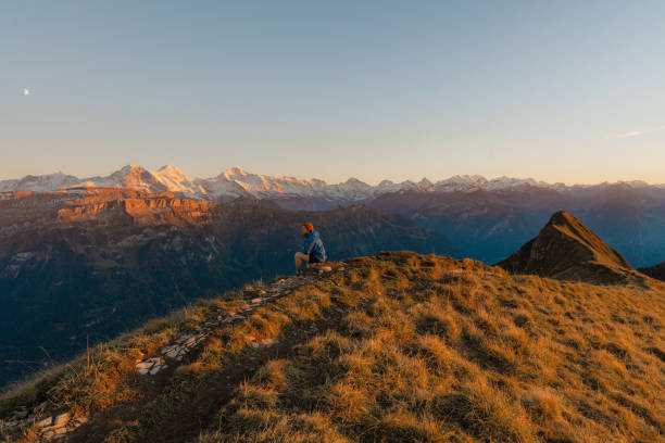 istock Man sitting and looking at Interlaken from mountains 1441908315