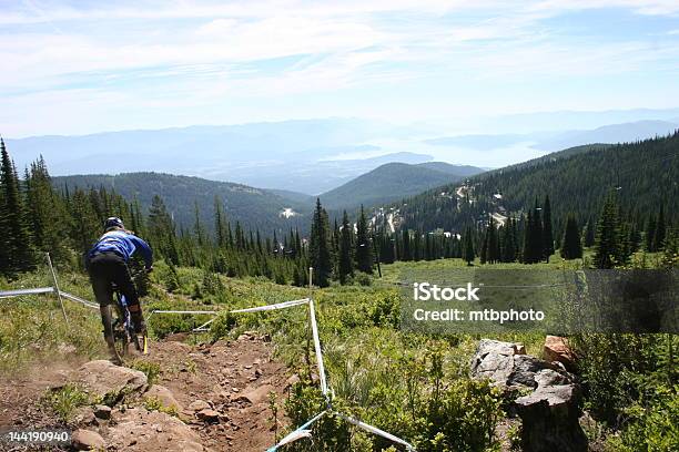 Mujer Ciclista De Montaña En Descenso Foto de stock y más banco de imágenes de Actividad - Actividad, Adulto, Aire libre