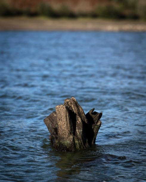 istock Low water levels 1441909418