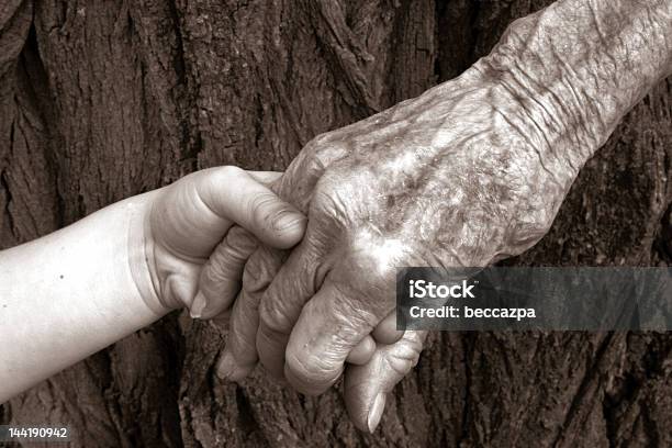 Árbol Genealógico Foto de stock y más banco de imágenes de Árbol genealógico - Árbol genealógico, Familia, Agarrados de la mano