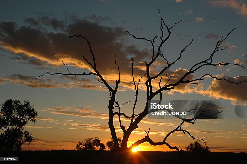 suset a colina Parque nacional de Relva - Royalty-free Queensland Foto de stock