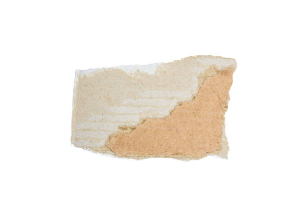 istock Cardboard piece isolated on white background 1441912645