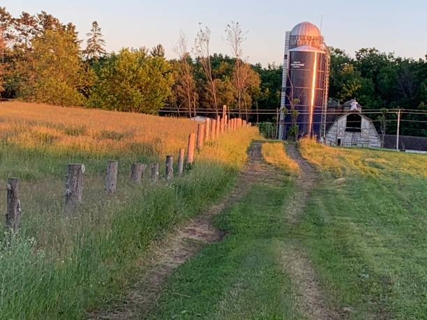 Back side of the Farm
