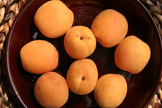 Fruit : apricots, peaches stock photo