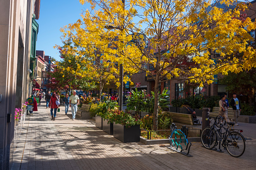 Ithaca, NY, USA - Oct 24, 2022: The Downtown Ithaca Commons, seen here during the autumn season, is a four-block, pedestrian-only home to unique stores and restaurants. Patrons walk under the foliage.