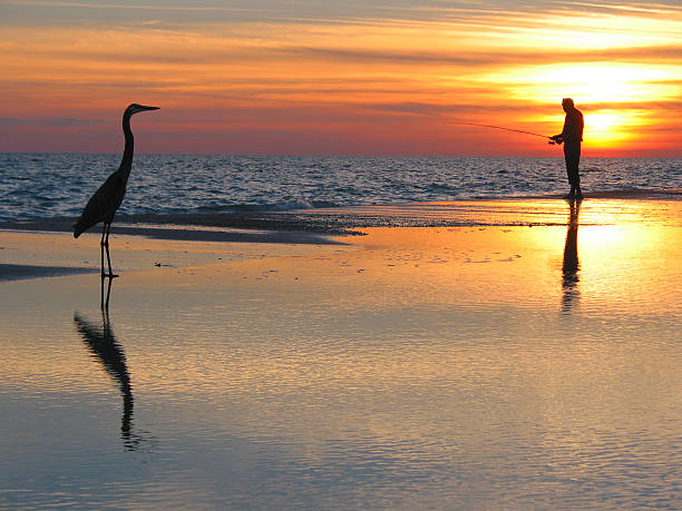 Man fishing with a bird in the foreground during sunset stock photo