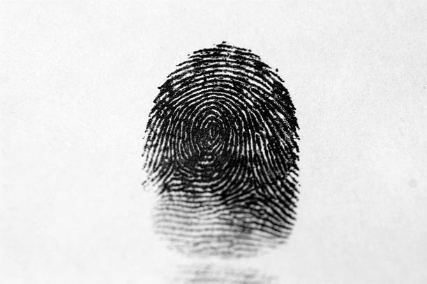 A finger print in black on a white background stock photo