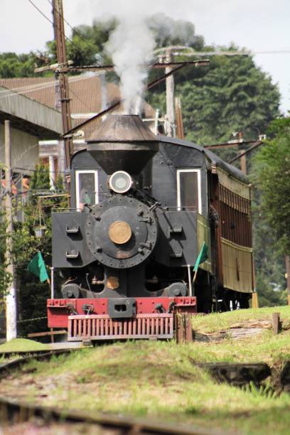 istock steam powered tourist train 1441920502