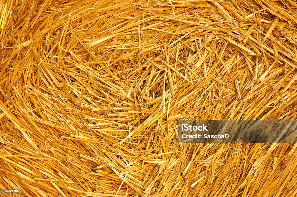 or closeup or bale closeup Agricultural Field Stock Photo