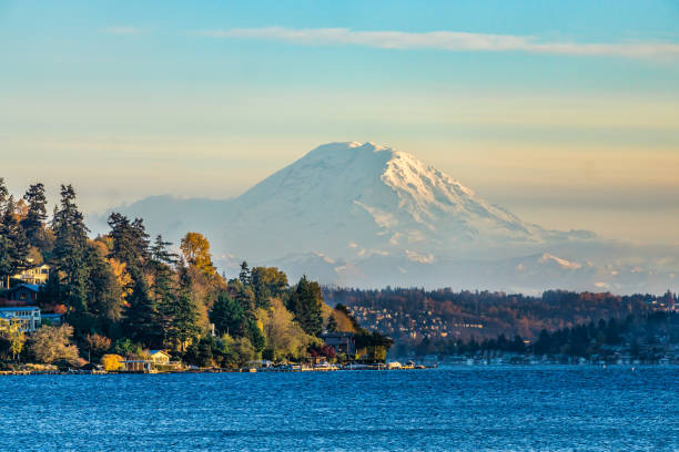 Seattle Park Scenic View 6 A veiw of Mount Rainier from Seward Park in Seattle, Washington. mt rainier stock pictures, royalty-free photos & images