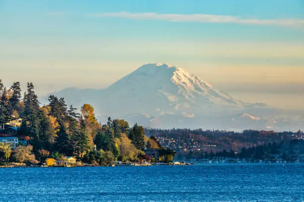 A veiw of Mount Rainier from Seward Park in Seattle, Washington.